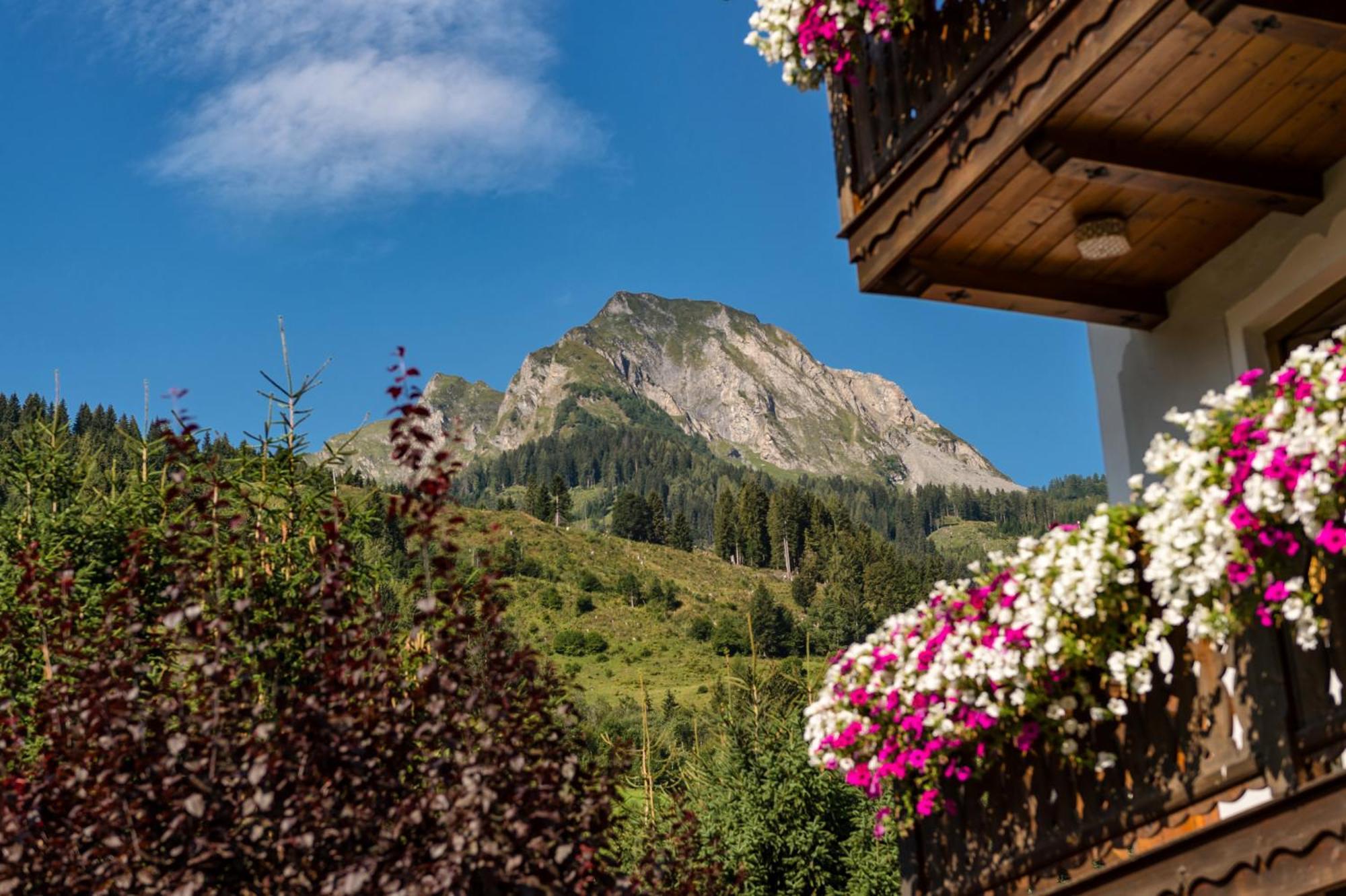 Bauernhofhotel "Die Unterbergerin" - Zimmer Mit Fruehstueck Und Ferienwohnungen In Gastein Mit Gratis Thermeneintritt Dorfgastein Ngoại thất bức ảnh